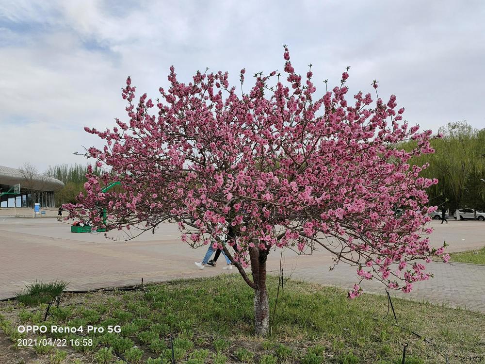 1c3eed93fddb49d7b59e948b4ed86665.jpg 1c3eed93fddb49d7b59e948b4ed86665.jpg