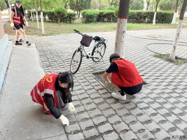 微信图片_20240605214008