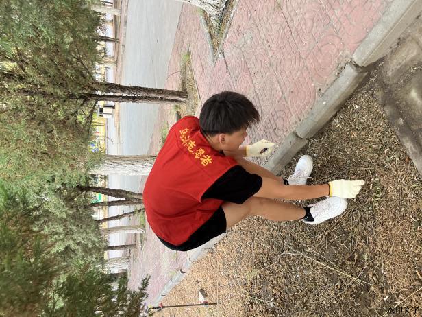 微信图片_20240605213951