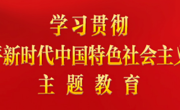 以学铸魂，坚定理想信念——推动主题教育取得实实在在的成效